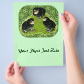 Bantam Chicks im Garten Flyer (Hand)