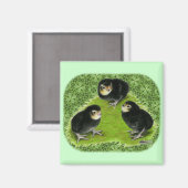 Bantam Chicks im Garten Magnet (Vorderseite/Rückseite)