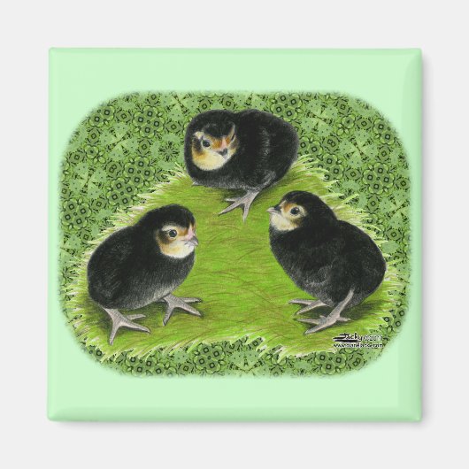 Bantam Chicks im Garten Magnet (Vorne)