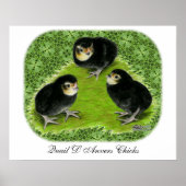 Bantam Chicks im Garten Poster (Vorne)