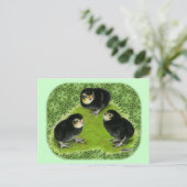 Bantam Chicks im Garten Postkarte (Stehend Vorderseite)