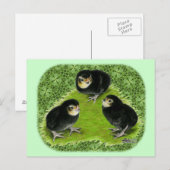 Bantam Chicks im Garten Postkarte (Vorne/Hinten)