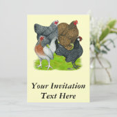 Bantam Hen Quarttet Einladung (Stehend Vorderseite)