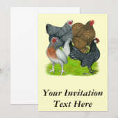 Bantam Hen Quarttet Einladung (Vorne/Hinten)