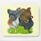 Bantam Hen Quarttet Mousepad (Vorne)