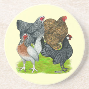 Bantam Hen Quarttet Sandstein Untersetzer