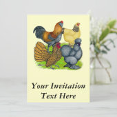 Bantam Quartett Einladung (Stehend Vorderseite)