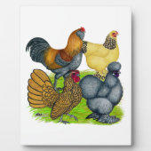 Bantam Quartett Fotoplatte (Vorderseite)