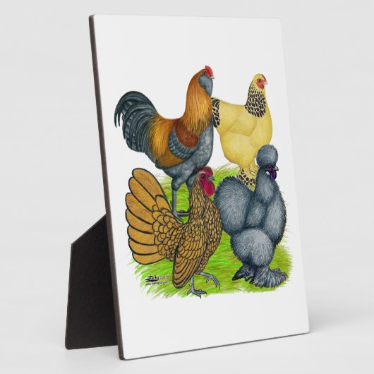 Bantam Quartett Fotoplatte (Seite)