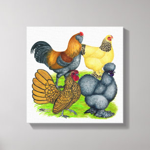 Bantam Quartett Leinwanddruck