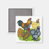 Bantam Quartett Magnet (Vorderseite/Rückseite)