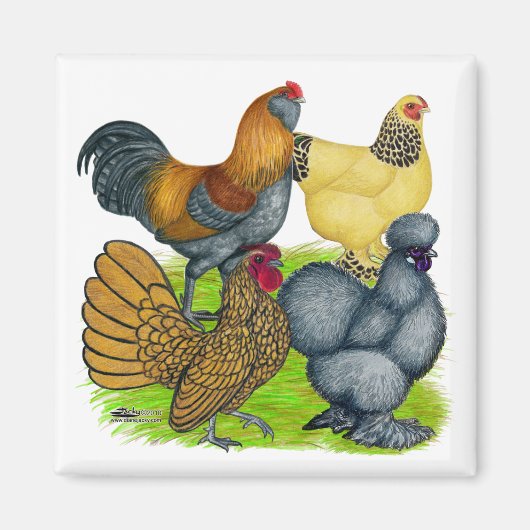 Bantam Quartett Magnet (Vorne)