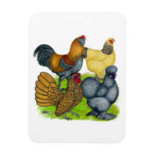 Bantam Quartett Magnet