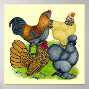 Bantam Quartett Poster