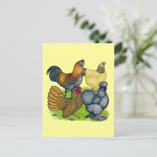 Bantam Quartett Postkarte (Stehend Vorderseite)