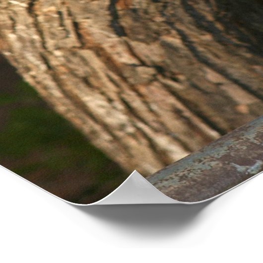 Bantam Rooster Poster (Ecke)