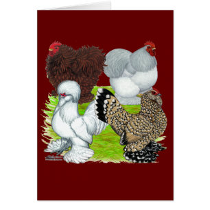 Bantams Feather Leged