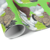 Bantams Feather Leged Geschenkpapier (Rolleneckpunkt)