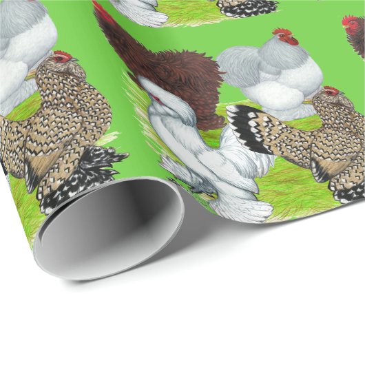 Bantams Feather Leged Geschenkpapier (Rolleneckpunkt)