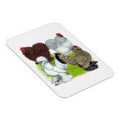 Bantams Feather Leged Magnet (Rechte Seite)
