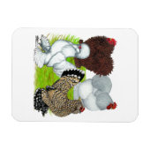 Bantams Feather Leged Magnet (Horizontal)