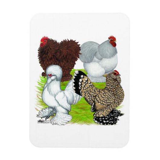Bantams Feather Leged Magnet (Vertikal)
