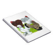 Bantams Feather Leged Notizblock (Rechte Seite)