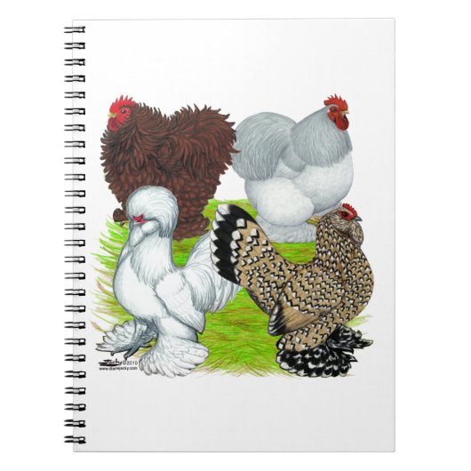 Bantams Feather Leged Notizblock (Vorderseite)