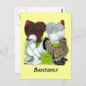 Bantams Feather Leged Postkarte (Vorne/Hinten)