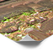 Banteay Srei Temple Chandi Poster (Ecke)