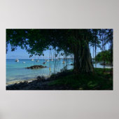 Banyan am Strand Poster (Vorne)