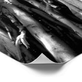 Banyan Poster (Ecke)