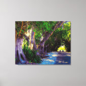 Banyan Street Leinwanddruck (Vorderseite)