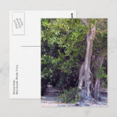 Banyan Street Postcard Postkarte (Vorne/Hinten)