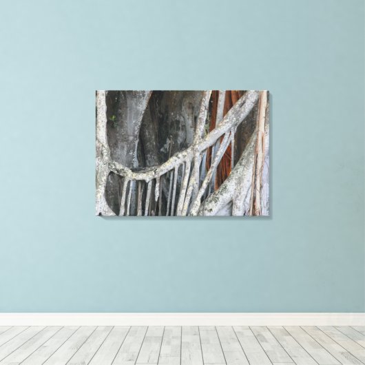 Banyan Tree Closeup Foto Leinwanddruck (Insitu (Holzboden))