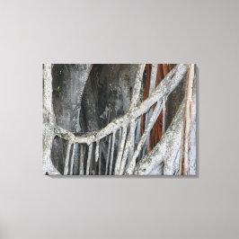 Banyan Tree Closeup Foto Leinwanddruck