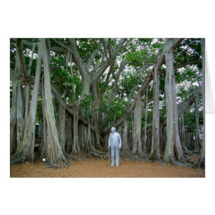 Banyan Tree Edison & Ford Anwesen Ft Myers Florida