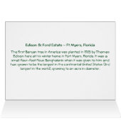 Banyan Tree Edison & Ford Anwesen Ft Myers Florida (Innenansicht Horizontal (Oben))