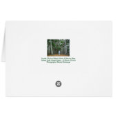 Banyan Tree Edison & Ford Anwesen Ft Myers Florida (Rückseite Horizontal)