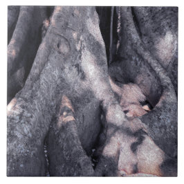 Banyan Tree Fliese