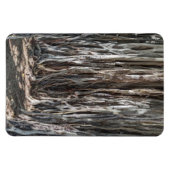 Banyan Tree Foto Magnet (Horizontal)