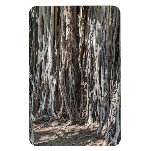 Banyan Tree Foto Magnet (Vertikal)