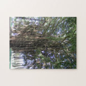 Banyan Tree, Hilo Hawaii Puzzle (Horizontal)