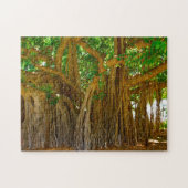 Banyan Tree Honolulu HawaiI. Puzzle (Horizontal)