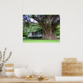 Banyan Tree Hütte Poster (Küche)