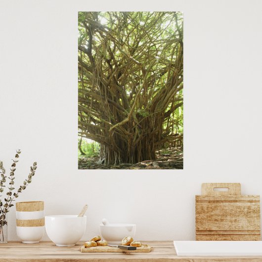 Banyan Tree Poster (Küche)