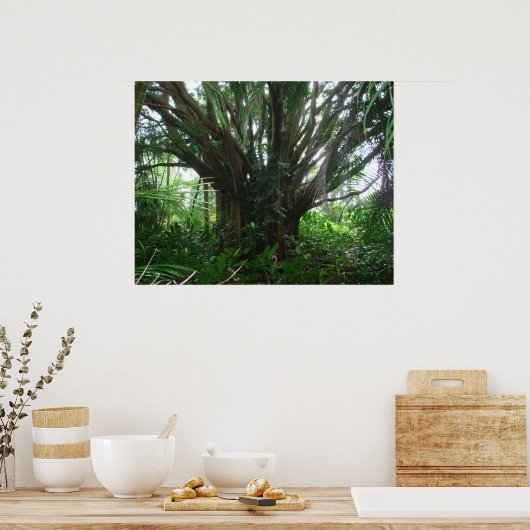 Banyan Tree Poster (Küche)