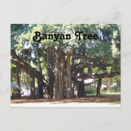 Banyan Tree Postkarte