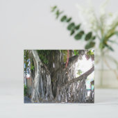Banyan Tree Postkarte (Stehend Vorderseite)