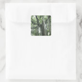 Banyan Tree Quadratischer Aufkleber (Tasche)